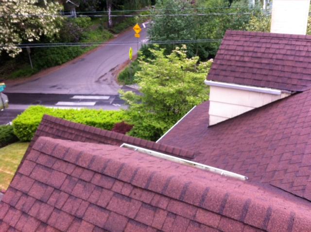 Roof with heavy, thick moss growth covering the shingles along the ridge and valleys