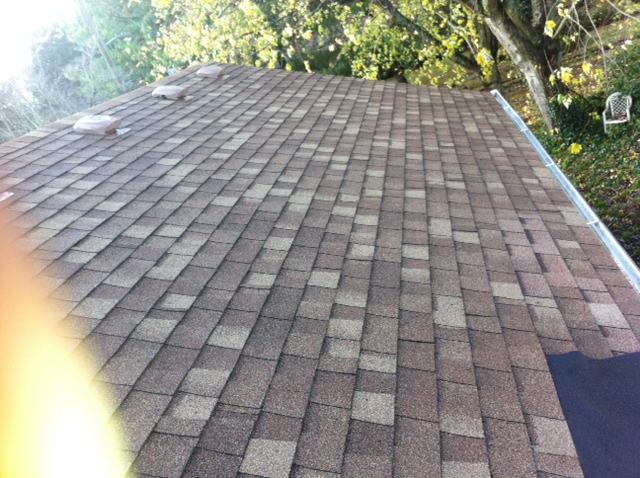 Freshly cleaned composition roof with moss and staining removed